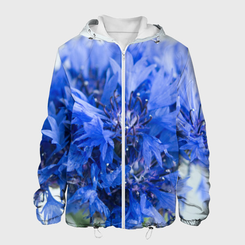 Мужская куртка 3D с принтом Цветы васильки, вид спереди #2