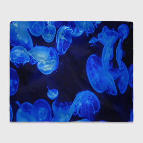 Плед с принтом Медузы голубого цвета, вид спереди №1