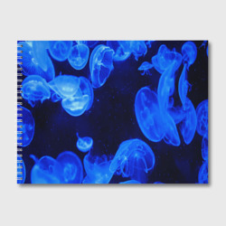 Альбом для рисования Медузы голубого цвета