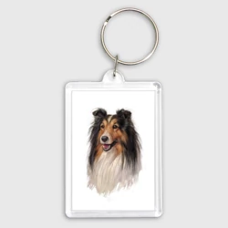 Брелок прямоугольный 35*50 Красотка Колли