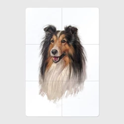 Магнитный плакат 2Х3 Красотка Колли