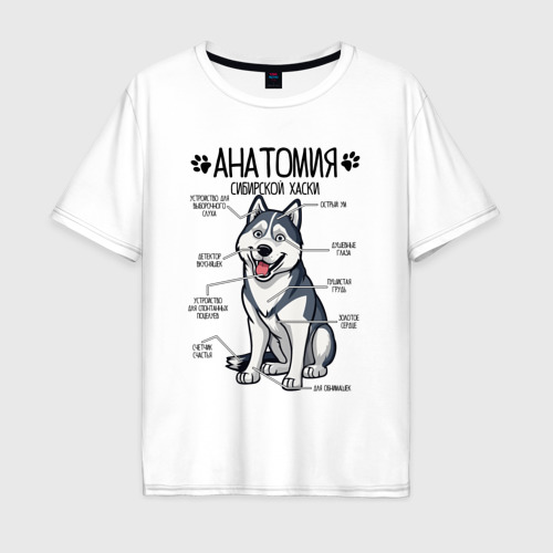 Мужская футболка хлопок Oversize с принтом Сибирский Хаски анатомия, строение собаки, вид спереди #2