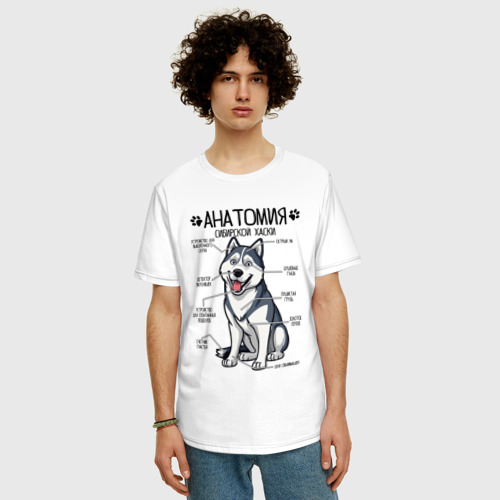 Мужская футболка хлопок Oversize с принтом Сибирский Хаски анатомия, строение собаки, фото на моделе #1