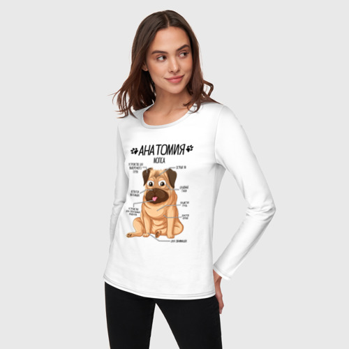 Женский лонгслив хлопок с принтом Анатомия мопса, строение собаки, фото на моделе #1