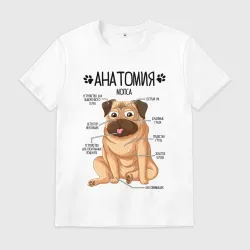 Мужская футболка хлопок Анатомия мопса, строение собаки