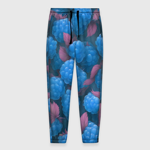 Мужские брюки 3D с принтом Голубая малина, вид спереди #2