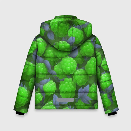 Зимняя куртка для мальчиков 3D с принтом Зелёная малина, вид сзади #1