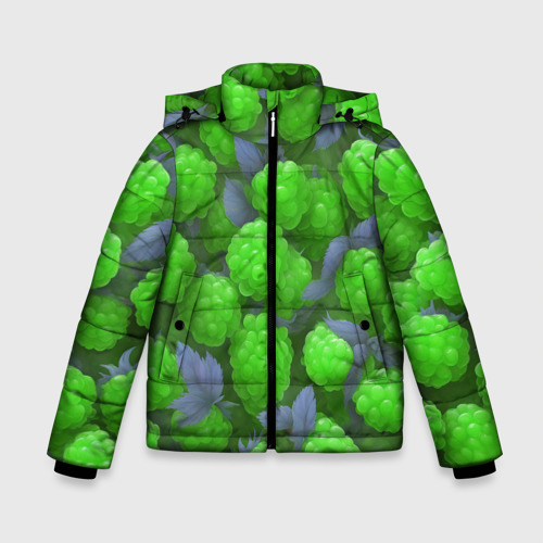 Зимняя куртка для мальчиков 3D с принтом Зелёная малина, вид спереди #2