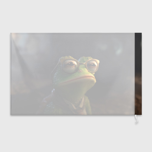 Флаг 3D Лягушка Пепе в очках - фото 2
