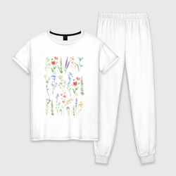 Женская пижама хлопок Ботаника - биология - полевые цветы