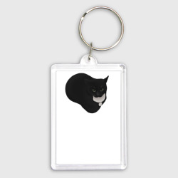 Брелок прямоугольный 35*50 Maxwell cat meme