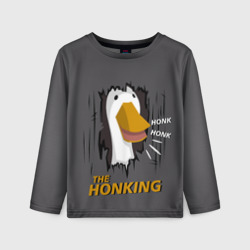 Детский лонгслив 3D The honking