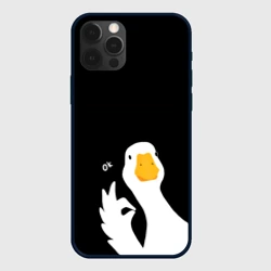 Чехол для iPhone 12 Pro Ок гусь