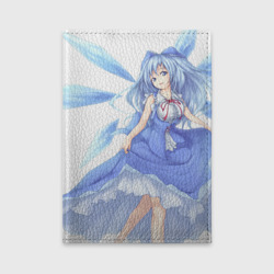 Обложка для автодокументов Touhou Project Cirno Чируно