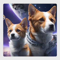 Магнитный плакат 3Х3 Dogs and cats in space