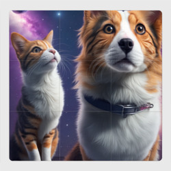 Магнитный плакат 3Х3 Собака и кот в космосе