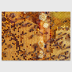 Поздравительная открытка Пчёлы и соты с мёдом