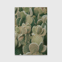 Обложка для паспорта матовая кожа Поле кактусов