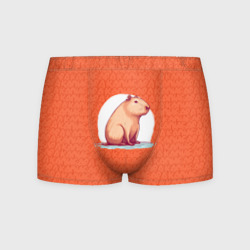 Мужские трусы 3D Оранжевая капибара 