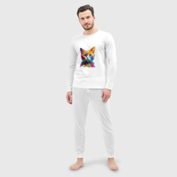 Мужская пижама с лонгсливом хлопок Красочный кот - фото 2