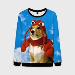 Мужской свитшот 3D Забавная собака лобстер мем