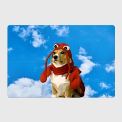 Магнитный плакат 3Х2 Забавная собака лобстер мем