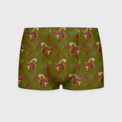 Мужские трусы 3D Белка и ягоды