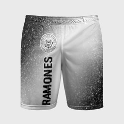 Мужские шорты спортивные Ramones glitch на светлом фоне: по-вертикали