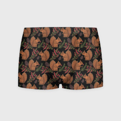 Мужские трусы 3D Белка и барбарис