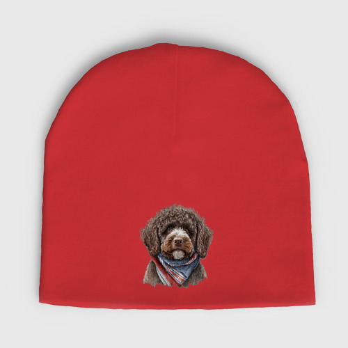 Женская шапка демисезонная Лаготто романьоло с банданой, цвет красный