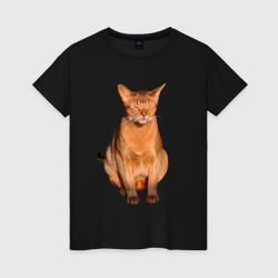 Абиссинский кот хочет спать – Женская футболка хлопок с принтом купить со скидкой в -20%