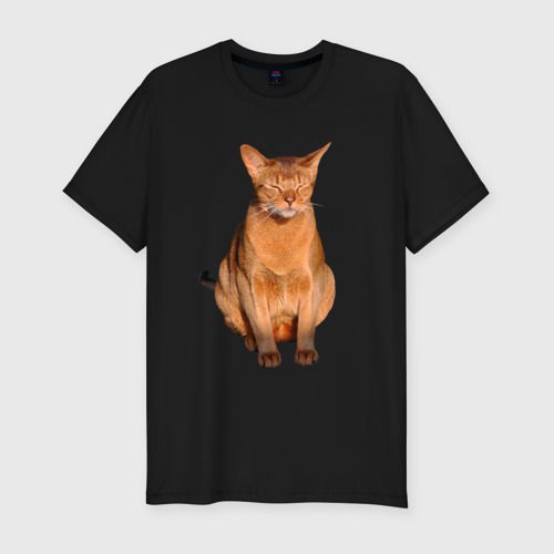 Мужская футболка хлопок Slim Абиссинский кот хочет спать, цвет черный