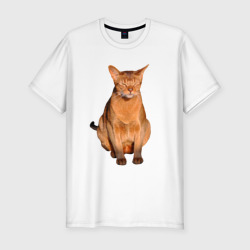 Мужская футболка хлопок Slim Абиссинский кот хочет спать