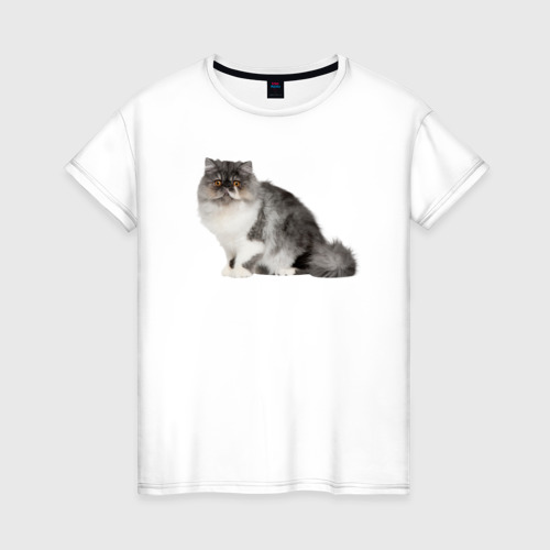 Женская футболка из хлопка с принтом Персидский котик сидит, вид спереди №1