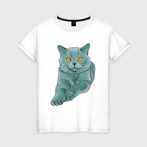 Женская футболка из хлопка с принтом Британский котик сидит, вид спереди №1