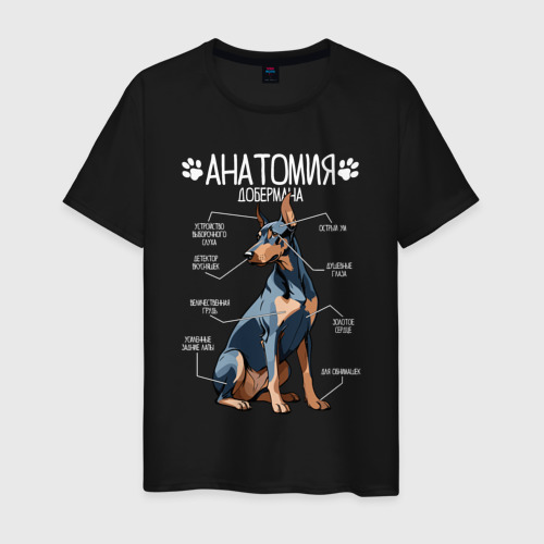 Мужская футболка из хлопка с принтом Анатомия добермана, строение собаки, вид спереди №1