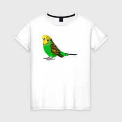 Красивый попугайчик – Женская футболка хлопок с принтом купить со скидкой в -20%