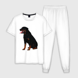 Мужская пижама хлопок Rottweiler