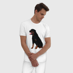 Мужская пижама хлопок Rottweiler - фото 2