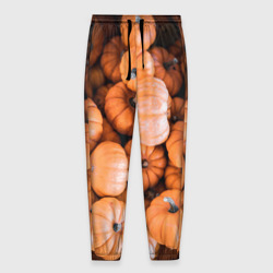 Мужские брюки 3D Овощи тыквы