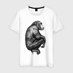 Мужская футболка хлопок Шимпанзе на дереве