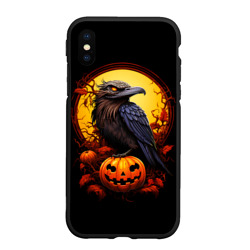 Чехол для iPhone XS Max матовый Halloween - ворон и тыква