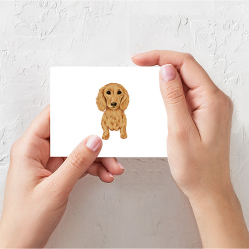 Поздравительная открытка Такса рыжая собака, цвет белый - фото 3
