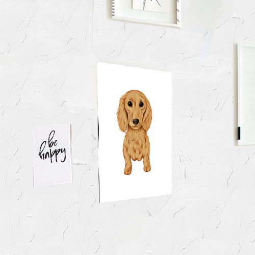 Постер Такса рыжая собака - фото 3