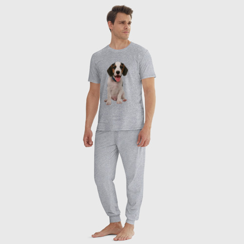 Мужская пижама хлопок Щенок бигля, цвет меланж - фото 5