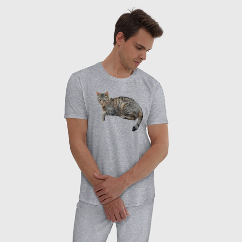 Мужская пижама хлопок с принтом Котик лежит, отдыхает, фото на моделе #1
