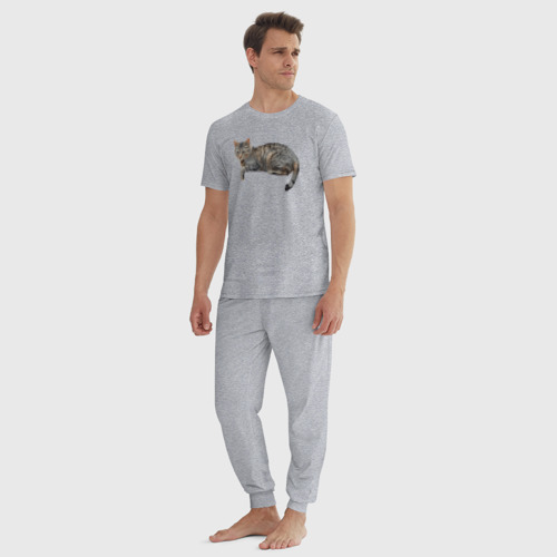 Мужская пижама хлопок с принтом Котик лежит, отдыхает, вид сбоку #3