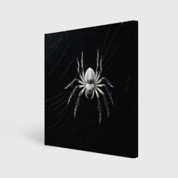 Холст квадратный Белый паук на черном фоне