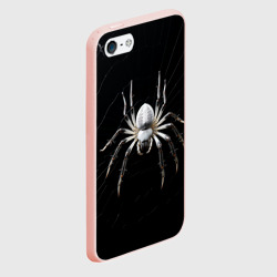 Чехол для iPhone 5/5S матовый Белый паук на черном фоне - фото 2