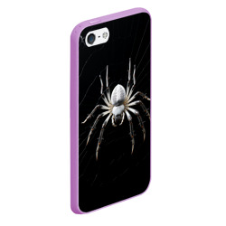 Чехол для iPhone 5/5S матовый Белый паук на черном фоне - фото 2